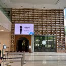 대전교차로~신덕교차로 | 서울시청 을지로입구역 분위기 좋은 디저트 카페 추천, 을지로 카페 적당 내돈내산 솔직 후기