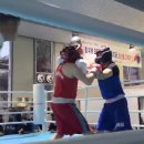 화랑 (권투) 이미지