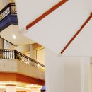 호텔스위스그랜드 이미지