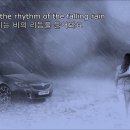 이른 아침 빗줄기의 낭만 속으로 Rhythm of rain 이미지