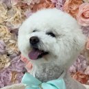 씻고놀개 이미지