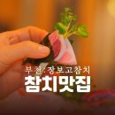 초밥한잎 | 부천코스요리 상동참치 맛집! 장보고참치, 29년 경력 참치집 추천🤎