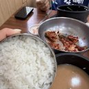 기장 국밥 로컬 맛집 :: 오거리돼지국밥 오완뚝