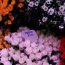 청천농장 이미지