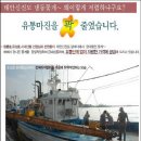 신진도꽃게