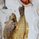 수품어장 이미지