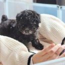 키즈멍 안양본점 이미지