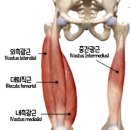 바디앤솔청주