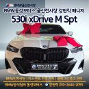 M&P라이프 | BMW 530i xDrive M Spt 출고 후기 가격 연비 옵션까지 알려드려요