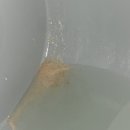 땡큐 베리 도그 이미지