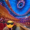 [라스베가스여행] 태양의 서커스 &#39;O쇼&#39;관람, 라스베가스 밤거리, 벨라지오 분수쇼 관람후기!