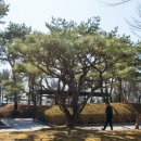 토평공원 이미지