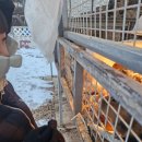 반달염소농장 이미지