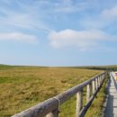 형제분식 이미지