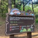 소산서원 유아숲체험원 이미지
