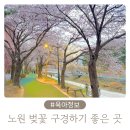 당현천산책로 | 노원 아기랑 벚꽃 구경하기 좋은 곳, 당현천 기억길 당현마루 화장실