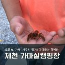 가마실캠핑장낚시터 이미지