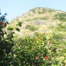 상만목장 이미지