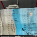 로이드페스츄리