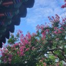 중앙공원 앞 이미지