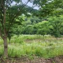 느티나무2농장 이미지