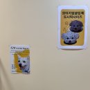 꼬미네까까 이미지