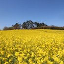 채석강 당구장 이미지