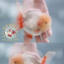 회성동100 이미지