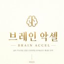 지성자동차정비 | 뇌를 가속하는 법, 이진우 작가의 『브레인 악셀』이 제시하는 스마트한 삶의 비결