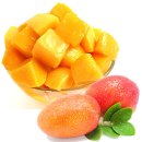 애플망고 이미지