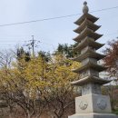 팔달문 안내소 이미지