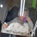 (주)위글로벌리 | [생후 152일차] 오늘 소이는(바깥나들이, 새로운 장난감-브라이트스타트 개구리, 새책-잼잼 잉글리쉬)