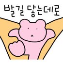 성심목장 이미지