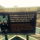 경애네 이미지