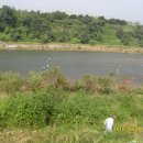 고탄교아래 이미지