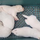 창리유일부동산공인중개사사무소 이미지