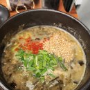 제주 애견동반 식당 &#39;해녀 세자매&#39; 후기