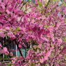06. 산비장이와 만첩풀또기