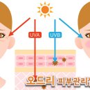 오드리피부관리샵 이미지