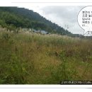 삼산면-5 이미지