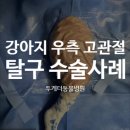 세운동물병원 네이버블로그