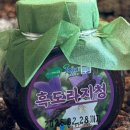 기철의원 이미지