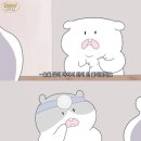 더차우 이미지
