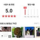종이 청첩장 마이오토바이오그라피 / 모바일 청첩장 씬쿵 제작 후기