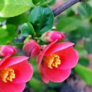 동아대학교 산업정보대학원 이미지