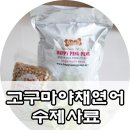 수제사료추천 믿을 수 있는 우리집 막둥이사료 해피팡팡에서!