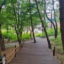 관동 | 국립춘천박물관 &lt;금강산과 관동팔경&gt; 전시 관람 후기