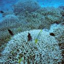 해우환경 이미지