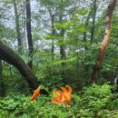 백양 마을회관 이미지