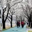 후천교~상산교 이미지